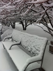 paesaggio con neve